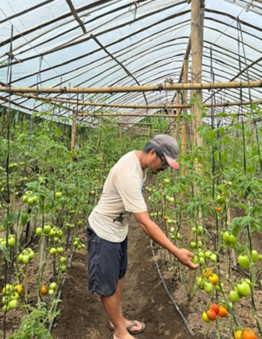 Farming Dreams
